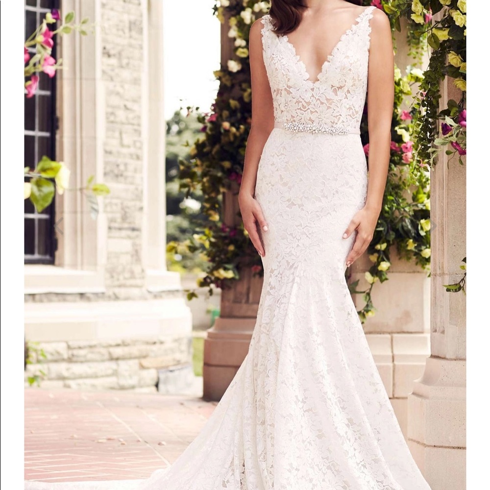 Paloma Blanca - #4746